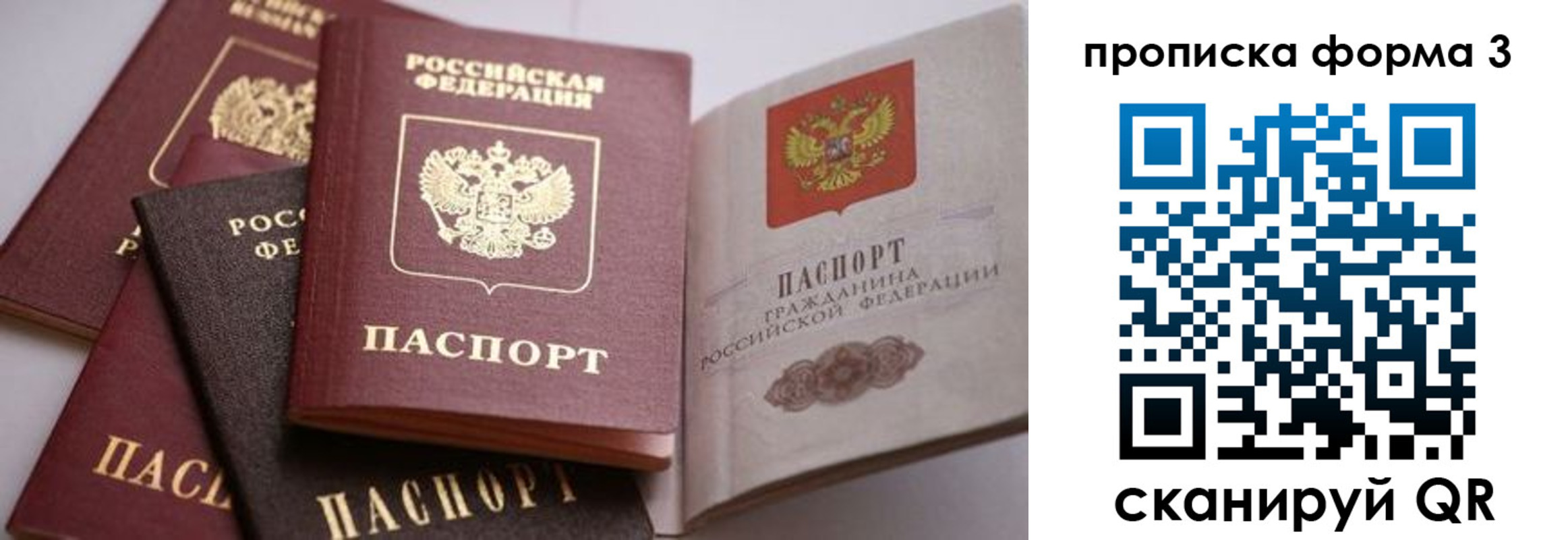 прописка для школы в Королёве